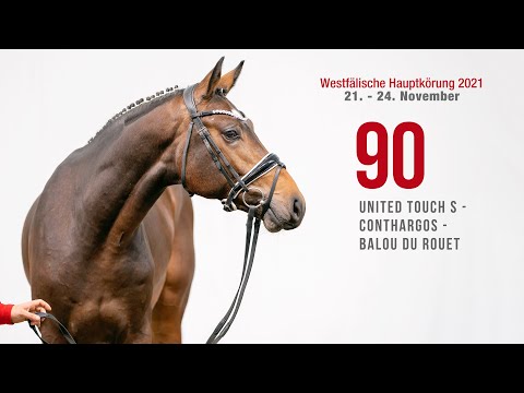 Hauptkörung 2021 Reitpferdehengste Kat-Nr. 90  United Touch S - Conthargos - Balou du Rouet