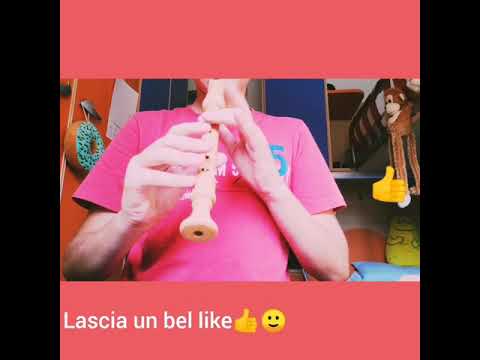 Cover Senorita- Camilla Cabello e Shawn Mendes (flauto dolce)