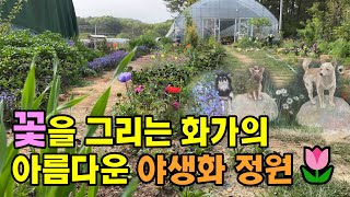 꽃을 그리는 화가가 단 1년만에 꾸민 놀라운 야생화 정원(크로의 정원) / 야생화노하우