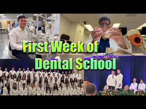 Western Dental Tweedy