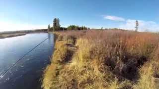 preview picture of video 'The best of fishing West Yellowstone: Absolut Fishing Team'