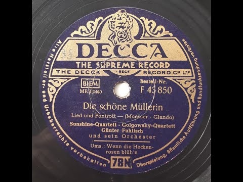 Die schöne Müllerin - Golgowsky Quartett und Sunshine Quartett & Günter Fuhlisch Orchester