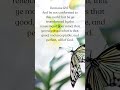 This means looking at life through God's lens and living that way, not as the world dictates. #viral