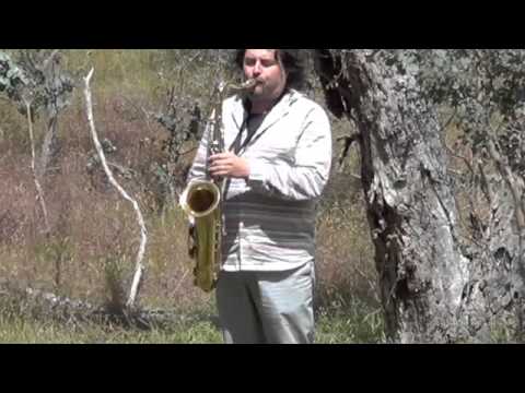 Mirko Guerrini - Jazz in the Australian Bush