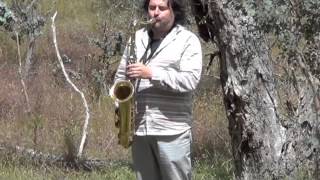 Mirko Guerrini - Jazz in the Australian Bush