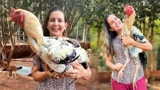 Miniatura do vídeo