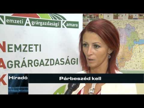 Híradó 2016. augusztus 26.