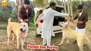 500000 Lakh Ka Kangal Dog Pet House Ky Leay Ly Liya🥳