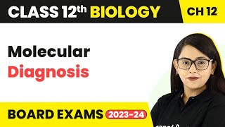 Molecular Diagnosis - Biotechnology and Its Applications | Class 12 Biology Chapter 12 (2022-23)