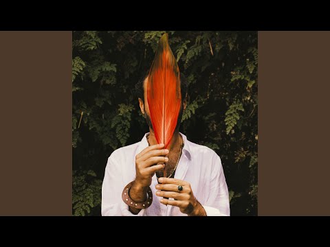 Video thumbnail for Felicidade (Italian Version)