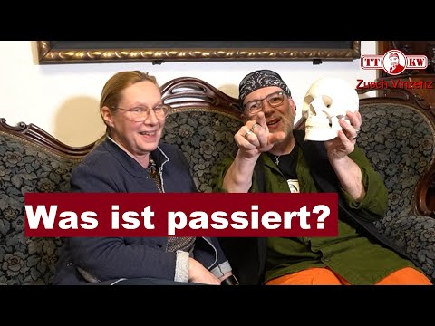 Menschlicher Schädel und Gehirn Modell vom Facharzt bewertet. Anatomischer Kopf in Lebensgröße