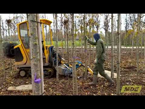Digging trees with rootball with MDE Globe 100