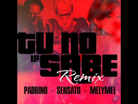 Sensato Del Patio Ft Padrino Y Melymel - Tu No Lo Sabe (Official Remix)