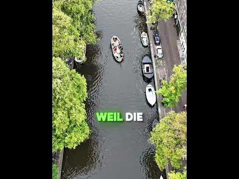 Warum landen so viele Luxusautos im Amsterdamer Kanal? 🚗😳