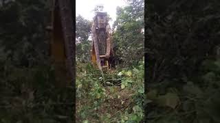 Tere Sang Pyar Mein Nahi Todna.तेरे संग प्यार मैं नहीं तोड़ना (II) HD- नागिन - जितेन्द्र, रीना रॉय .