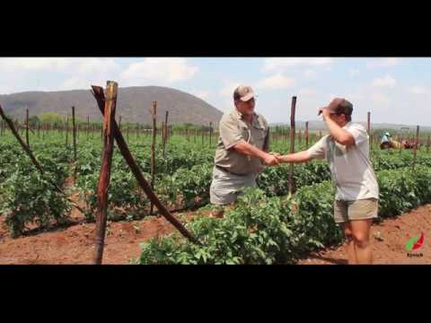 Suksesstorie Video 4, Noordwes