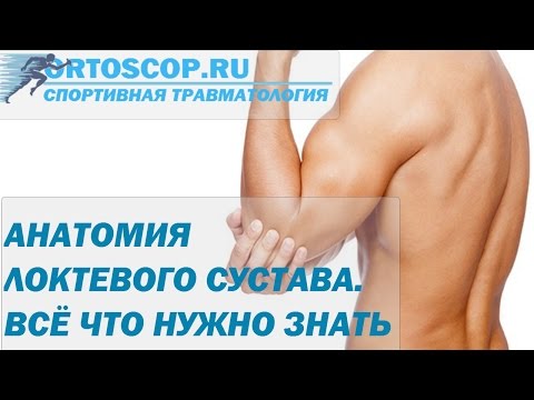 Порваны связки у собаки в коленном суставе Боль в спине и высокое давление