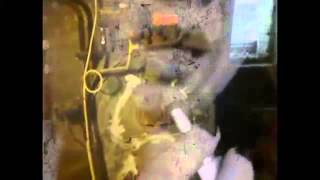 Echo Train - Things you cannot see