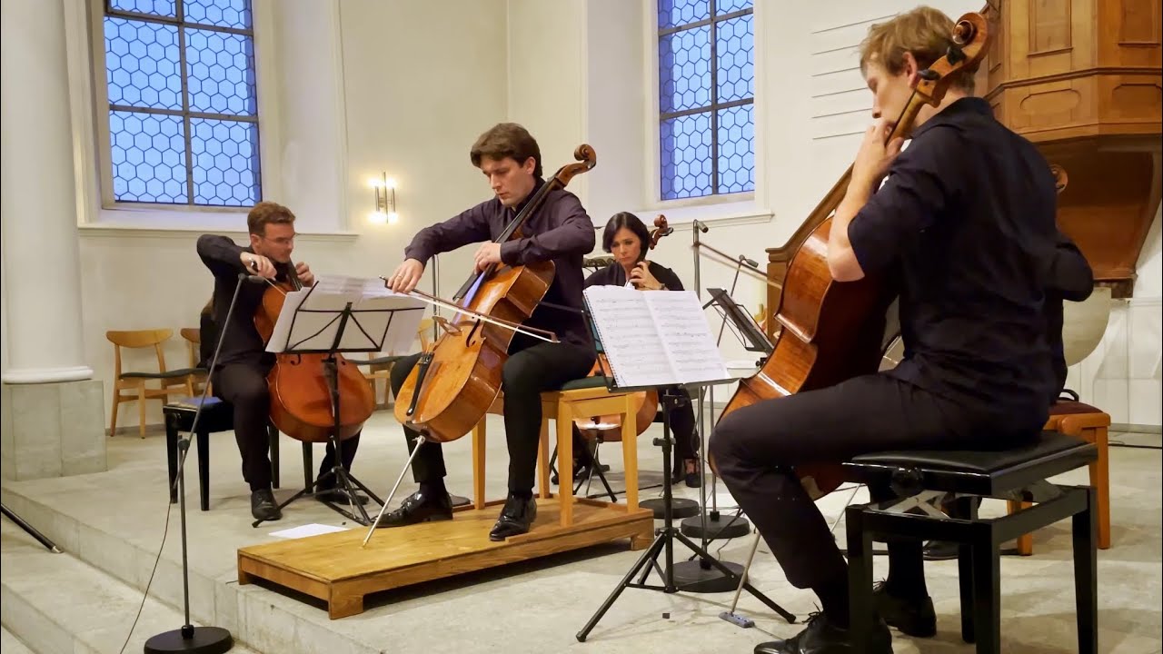 Dvořák - Cello Concerto (5 Cellos)