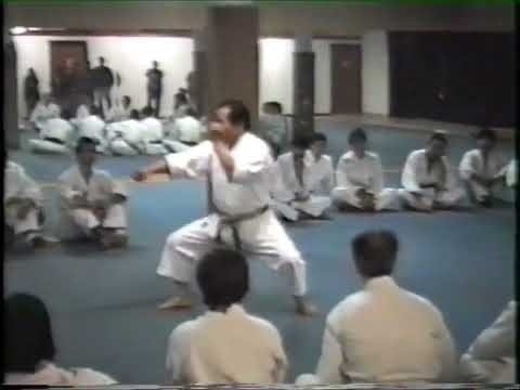 Kata Pachu - Soke Teruo Hayashi