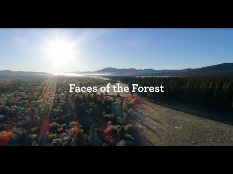 Watch Faces of the Forest: Meet the Defrees Family of Oregon