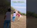 Hum Yaar Hai Tumhare Hum Yaar Hai Tumhare Sort