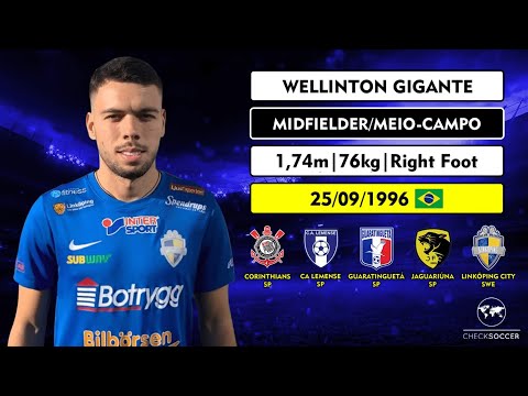 Jogadas e gols do Wellinton Gustavo Fernandes 