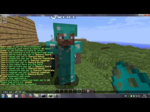 Minecraft tutorial - how to make your own guard/wizard