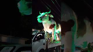 Download lagu Festival Takbir Keliling Part 1, Desa Raci 2025‼️#gchannel mp3 Download lagu Festival Takbir Keliling Part 1, Desa Raci 2025‼️#gchannel mp3