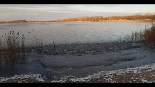 von Peißen zum Hufeisensee 16 Dezember 2022