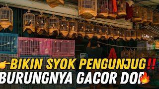 Download lagu SHOCK‼️ NEW STOCK LANDED AT THIS SMALL STORE🔥 ALL THE CHOOSING IS GACOR BANG‼️ NO WAY THEY'RE BEI... mp3 Download lagu SHOCK‼️ NEW STOCK LANDED AT THIS SMALL STORE🔥 ALL THE CHOOSING IS GACOR BANG‼️ NO WAY THEY'RE BEI... mp3