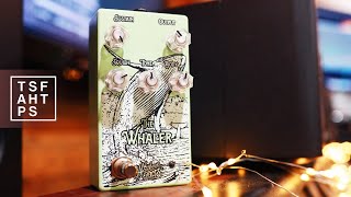 Video thumbnail for Matthews Effects - The Whaler Fuzz...a super fat fuzz by TheSuperFunAwesomeHappyTimePedalShow