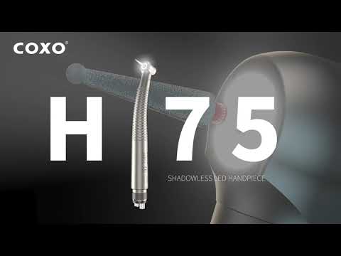 【COXO】 CX207-F H75 SHADOWLESS LED HANDPIECE