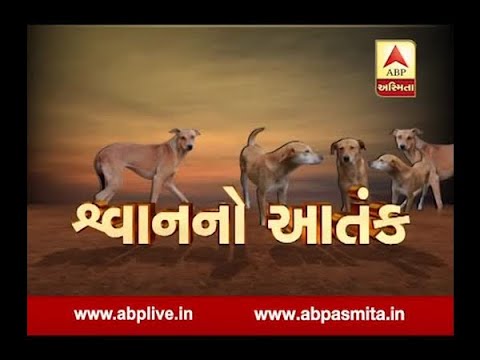 ABP Asmita vishesh: Terror of dog