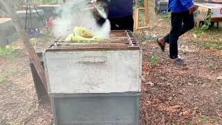 Raw Harvested Honey – Straight from the Hive
