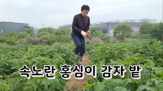 감자밭에서 (처움에 마크 안켜고해서 소리가 중간부터 나와요 )