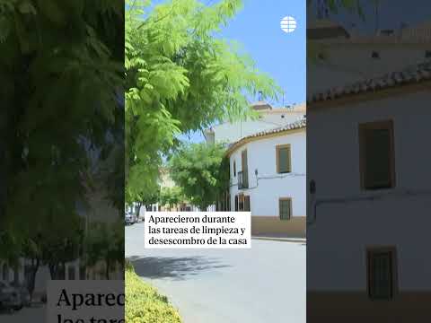 El misterio de los huesos humanos encontrados en un desván de Villanueva de Alcardete (Toledo)