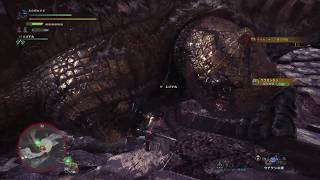 ［MHW］私やらかしました！　モンスターハンターワールド　#13