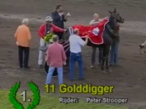 Gebr. Roggen Kampioenschap van Groningen - Golddigger