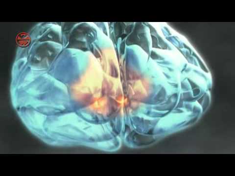 Phasen der alkoholsucht