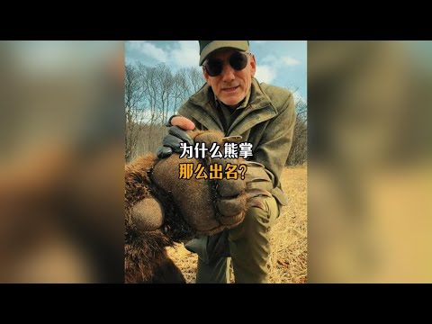 熊身上全是能吃的肉為啥只有熊掌出名了？#科普 #漲知識 #熊掌
