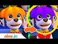 Spot The Difference 14 Halloween Edition W PAW Patrol Blaze Santiago Nick Jr