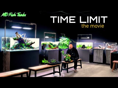 TIME LIMIT: (Aquascaping Feature Film - Aquarium Gardens UK)