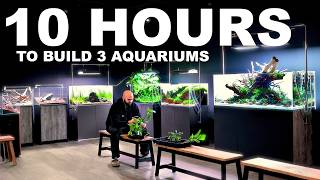 I Had 10 Hours to Build 3 Aquariums... Here's What Happened