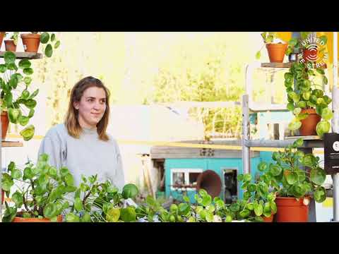 United we stream @ contain't #3 /w Kristina Arlekinova