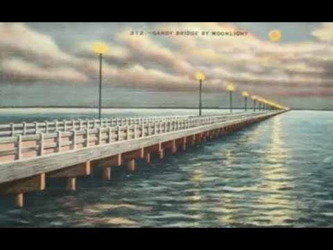Old Tampa Bay - Pat Moorhead