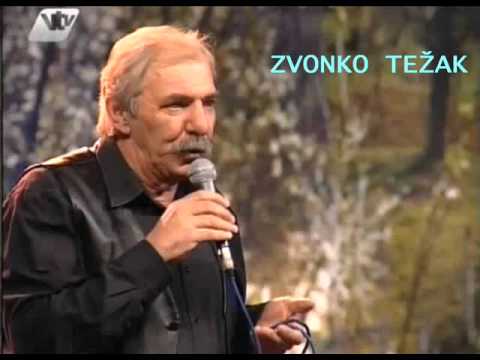 Popevke sem slagal - Zvonko Težak