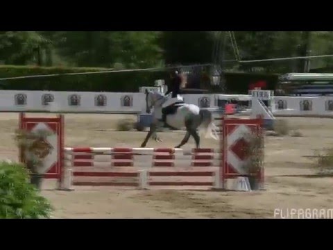 Etrea 24/4/2016 b100 fasi consecutive 6place* Grey Maverick&Francesca Magnani