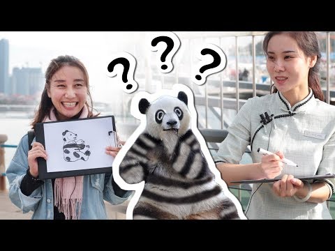中國街頭讓路人給大熊貓塗色