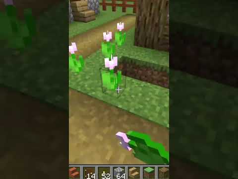 I build Small Village in Minecraft Creative mode 2023 Day 757 #shorts
